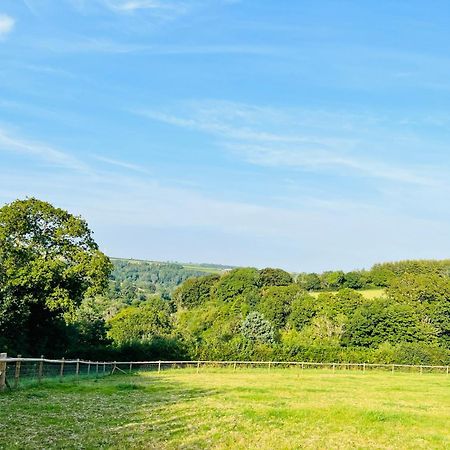 1 Bedroom Holiday Let In The Heart Of West Wales คาร์มาเทน ภายนอก รูปภาพ