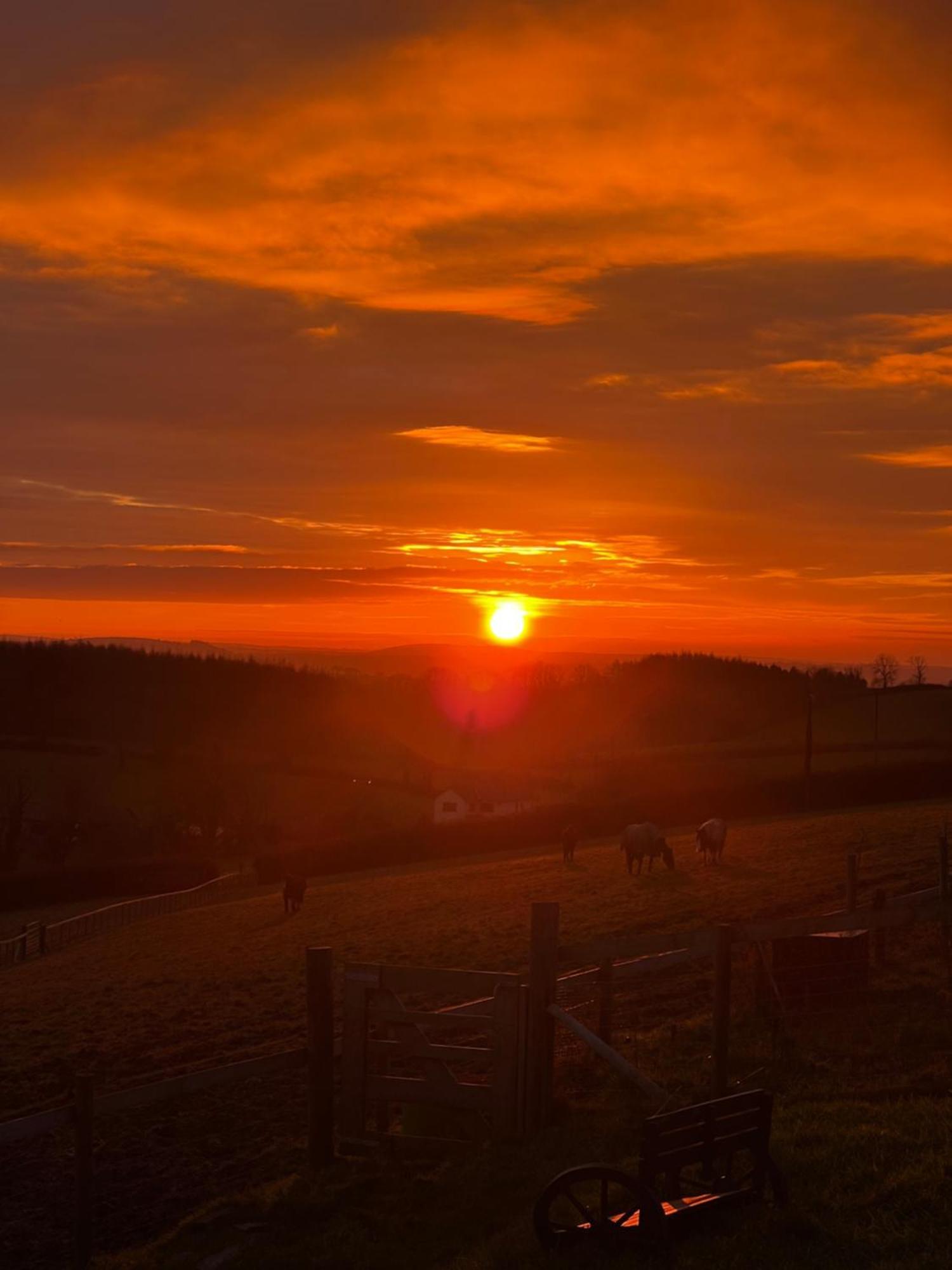 1 Bedroom Holiday Let In The Heart Of West Wales คาร์มาเทน ภายนอก รูปภาพ